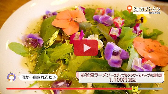 #427Barカブトムシ②