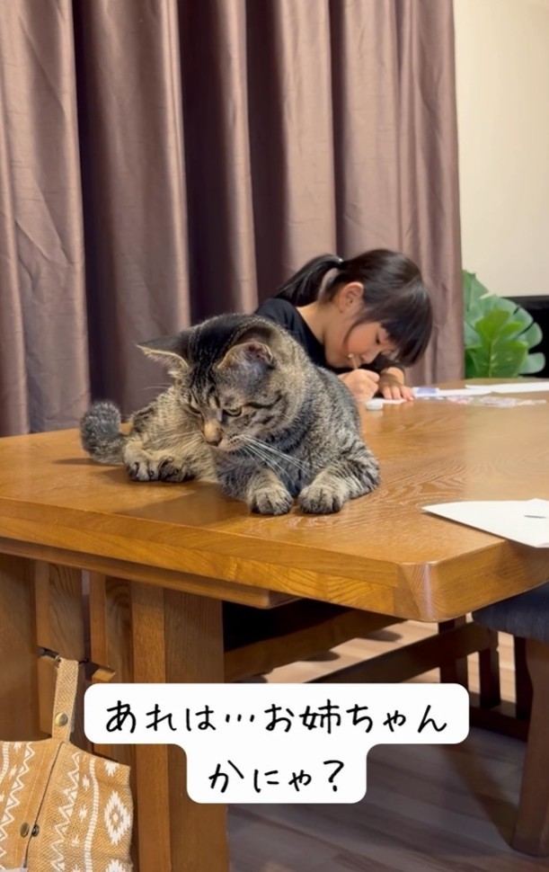 あれは…お姉ちゃんかにゃ？（「yuka.yu.mugi」さん提供、Instagramよりキャプチャ撮影）