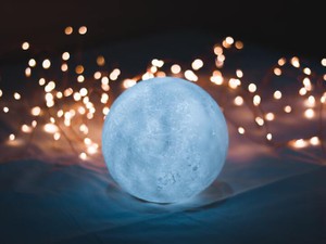 弟が始めた我が家の月見会。リモートでかみしめた彼の「不在」