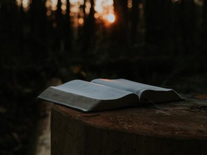 英語の落ちこぼれだった私も、ペーパーバックの「彼」に恋をした