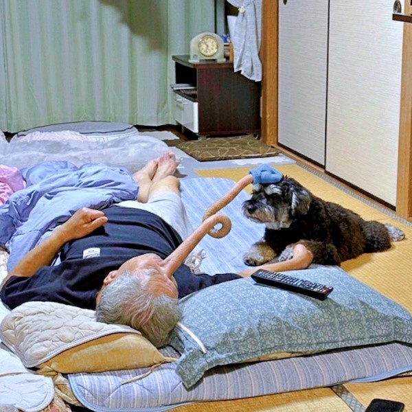 写真と指示を元にAIが作成した画像。祖父の鼻が伸びてセブンくんの頭へ（画像提供：本日のセブンさん）