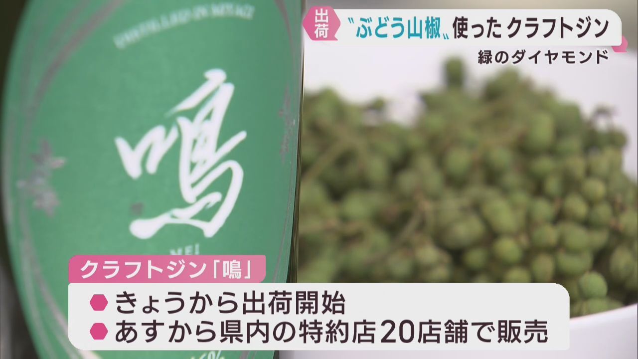 最高峰のブドウサンショウを使ったクラフトジン鳴（めい）　出荷が始まる