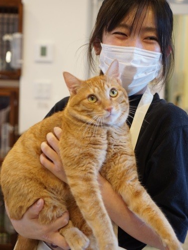 運営スタッフ統括高橋さんは、元動物看護師。「猫エイズは悪いイメージが強いのでまずその払拭（ふっしょく）をして、譲渡の促進を」と話す。「猫たちは“個々の良さ”があるので、自由に過ごす環境を見て、猫エイズ陽性であっても良さは変わらないと知ってほしい。猫エイズについて世間の見方を変えていけるカフェとして、できる限り長く続けたいです」