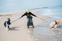 これが「多頭飼いの現実」（画像提供：たびぼんボダ＆ゴルさん）
