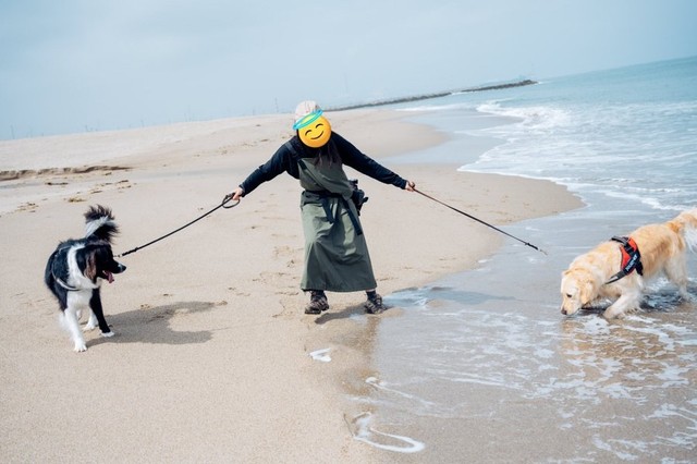 これが「多頭飼いの現実」（画像提供：たびぼんボダ＆ゴルさん）