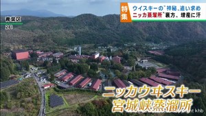 ウイスキーの神秘を追い求める　ニッカウヰスキー宮城峡蒸溜所の裏方さん