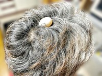 パパの頭の上に産み落とされたリンちゃんの卵（画像提供：ぽぅぽぅのいる世界さん）