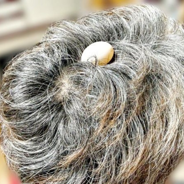 パパの頭の上に産み落とされたリンちゃんの卵（画像提供：ぽぅぽぅのいる世界さん）