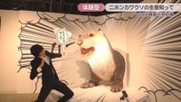 ニホンカワウソ大捜索隊司令部　四国水族館　特別展示室
