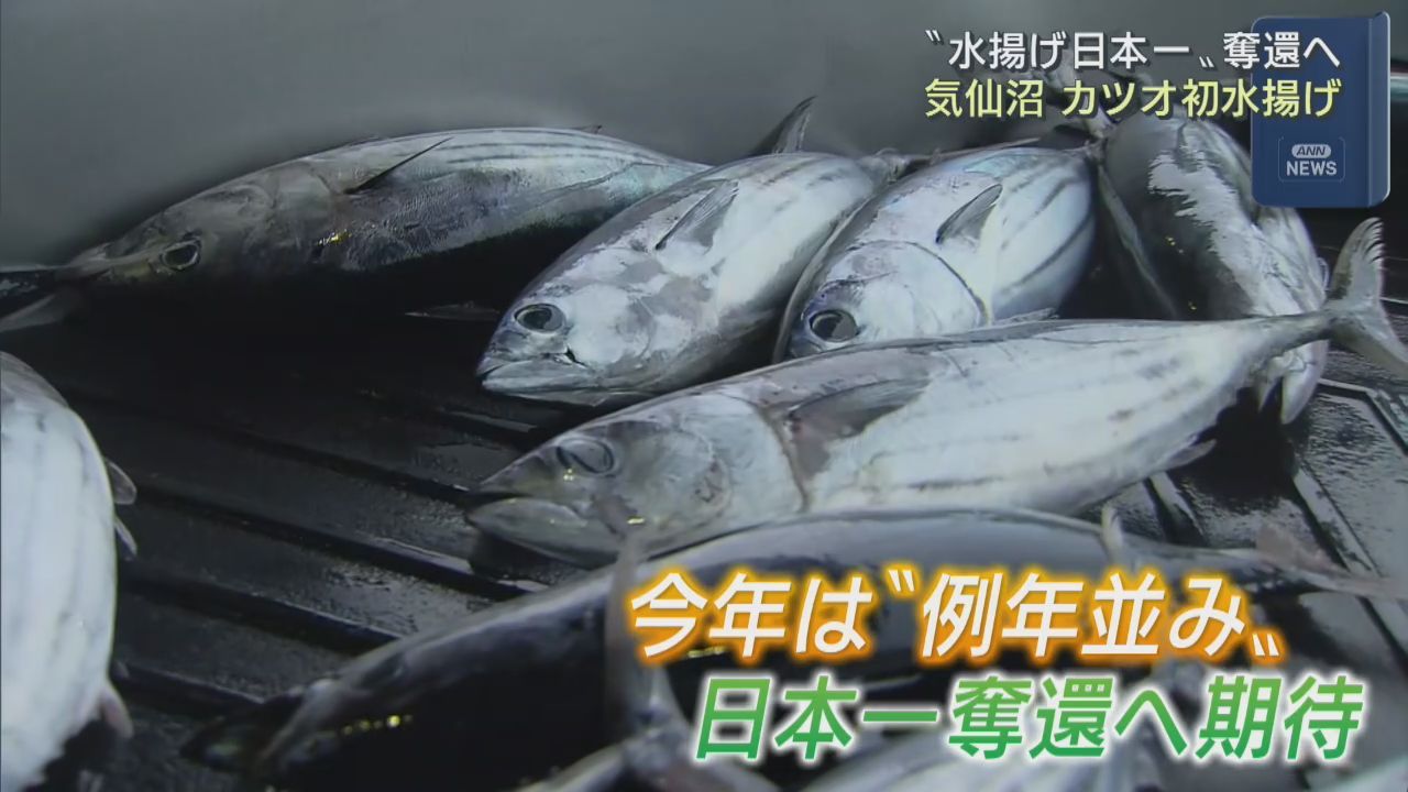 日本一奪還へ　宮城・気仙沼港で今季初めてカツオの水揚げ