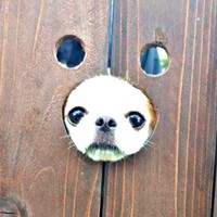 顔はめパネルの鼻部分からお顔を出すほのちゃん （画像提供：ほのさん）