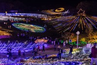 提供：国営讃岐まんのう公園2024シーズンイルミ