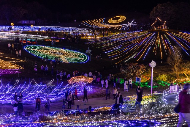 提供：国営讃岐まんのう公園2024シーズンイルミ