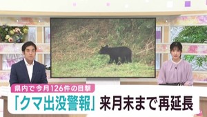 クマ出没警報　宮城県が１０月末まで更に延長