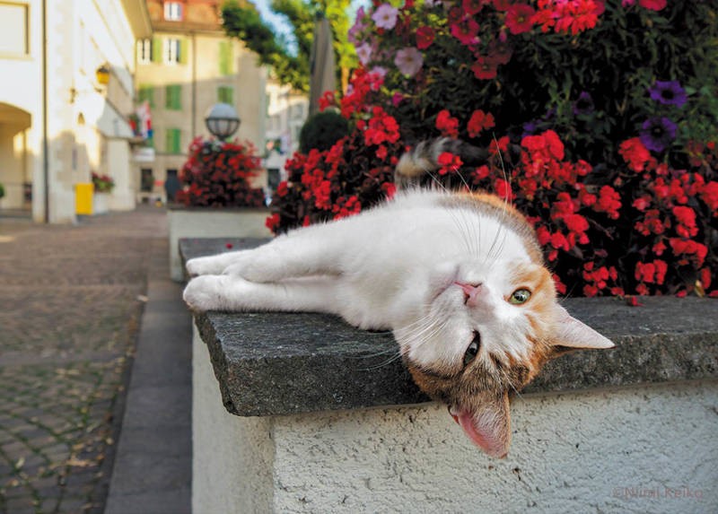 ４月：スイス（ニヨン）／レマン湖沿いに佇む古城の庭が遊び場。「空気の澄んだ早朝にここで過ごすのが大好き。お城の警備をしているお兄さんに、一番に挨拶するの」