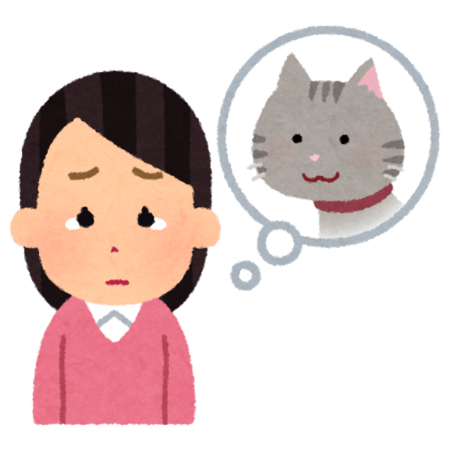 愛猫の安全を守れるのは飼い主だけ