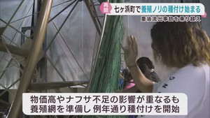 養殖ノリの種付けが始まる　重油流出で被害を受けた宮城・七ヶ浜町