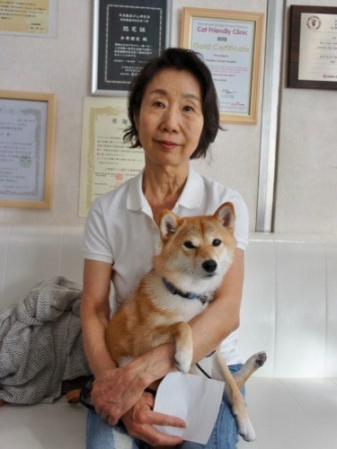 プログラムで柴犬の成犬を迎えた方（赤坂動物病院提供）