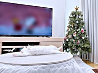 2年前もこの通り！ こたつ上でくつろぐねるくん（画像提供：くうねるさん）