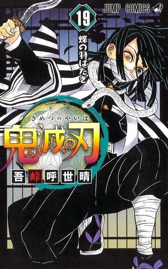 Demon Slayer - Kimetsu no Yaiba - Illustration Records Vol.2