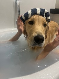 お風呂は少し怖いけど人と一緒なら平気