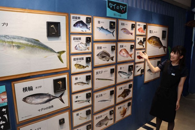 ずらりと並べた「タイのタイ」を紹介する岡さん