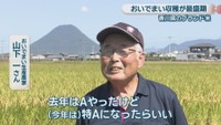 おいでまい生産農家／山下一さん