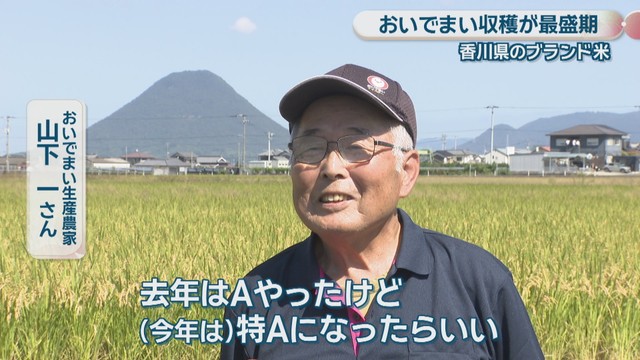 おいでまい生産農家／山下一さん