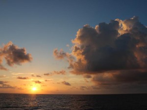 バツイチで心の病を持った私。夫と目が合うと、私の心に母親の腕の中のようなやさしい香りがする