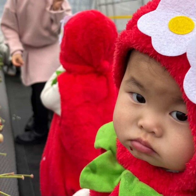 いちご狩りに現れた、可愛すぎる双子のいちご♡（提供：＠can_twins_）

