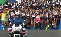 瀬戸内海タートルフルマラソン全国大会　約2600人が晩秋の小豆島を駆け抜ける　香川