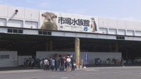 高松市の市場水族館　新屋島水族館のリニューアルオープンに向け9月28日で閉館　
