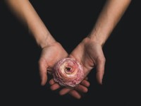 自分らしく働ける場所を増やす。助け合うことを知り、描いた新たな夢