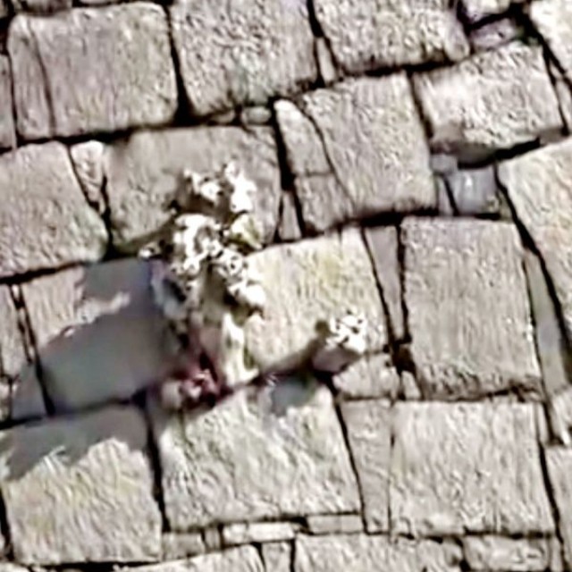 中央の突起しているのは木の根。周辺に人のような彫りものが見えたという（画像提供：ぱんさん）