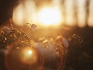 味覚の可能性は無限大。笑顔と忘れられない記憶は繋がっていく