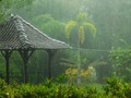愛おしく、美しい雨に見惚れた。インドネシア・ウブドの森の中で
