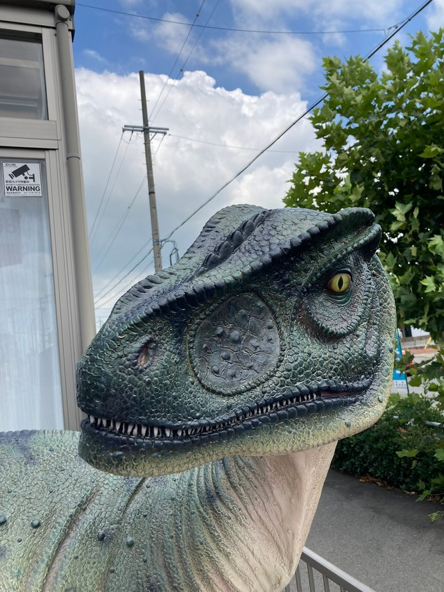 紫外線対策は万全。強い日差しの下でも安心です／魚の目（Lv.35）さん（@uonome5150）提供