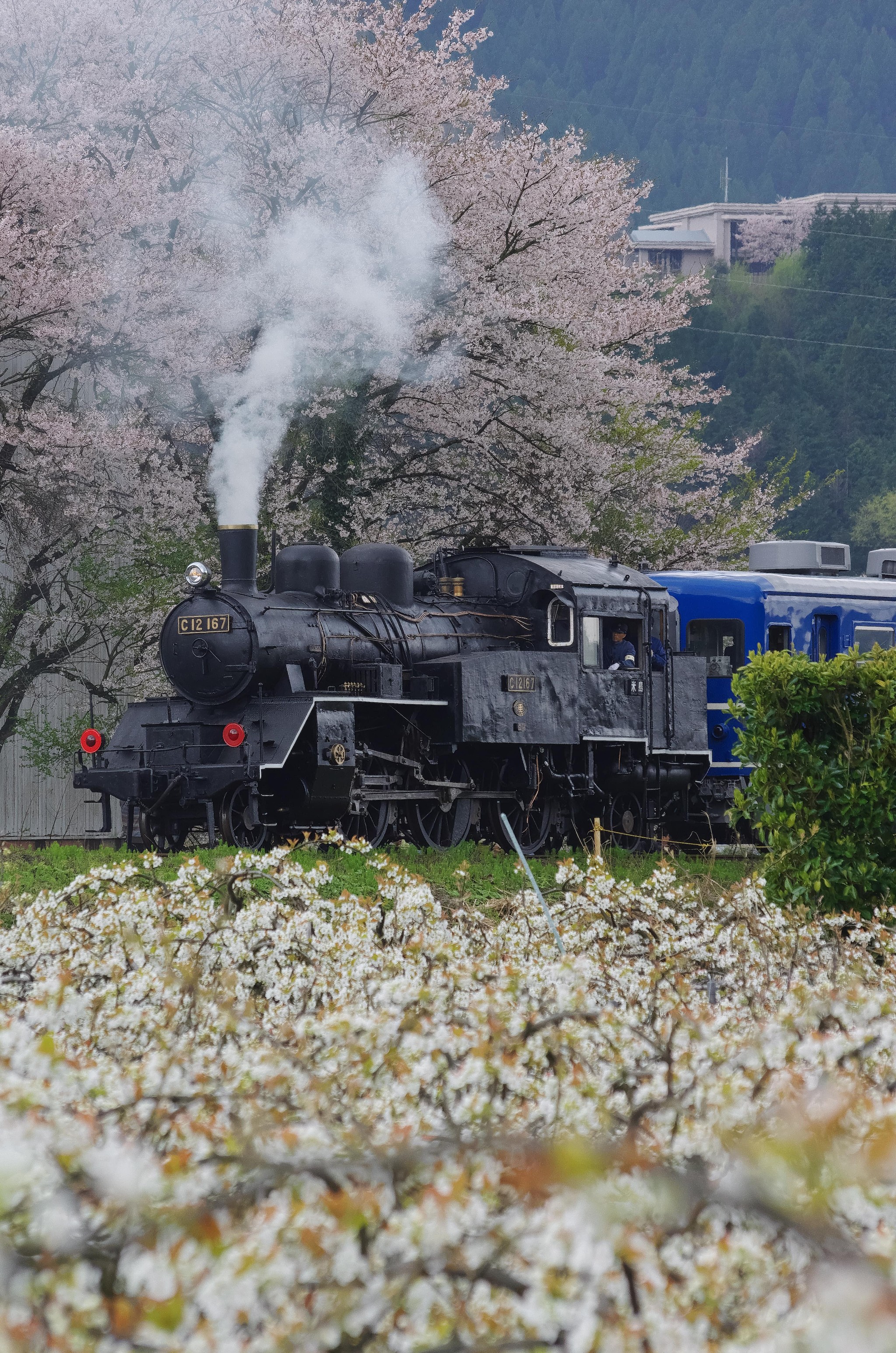 昔の撮り鉄さんの写真 SL 機関車 ローカル線 駅舎 北海道 栗丘駅 幾春別駅 昔の撮り鉄さんの写真 SL 機関車 ローカル線 駅舎 北海道 栗丘駅
