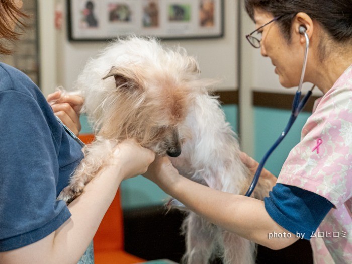 洗ってもらった後はメディカルチェックです。