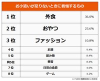 お小遣いが足りないときに我慢するもの