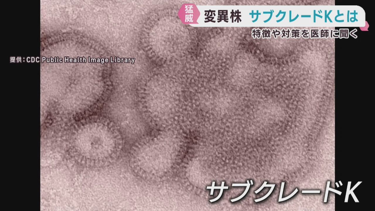 仙台市のインフルエンザ患者数は減少も注意が必要　変異株サブクレードＫとは