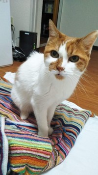 ルビィちゃんは娘のような存在