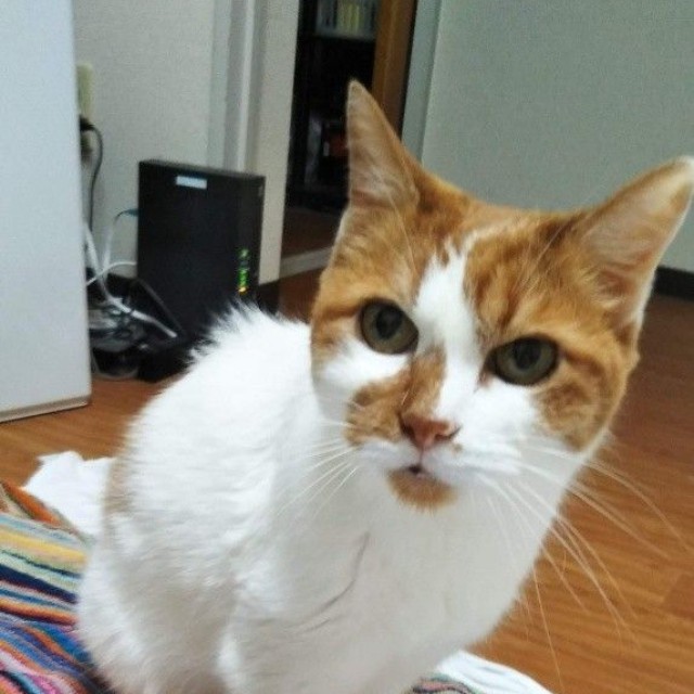 ルビィちゃんは娘のような存在