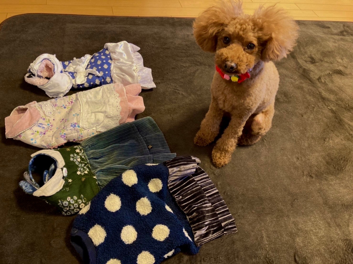 デニムリメイク犬用ワンピース ドッグウェア