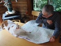 さっ、と飛びのくメイちゃん（画像提供：MARCOさん）