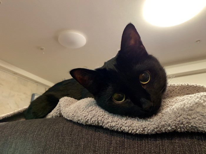 この顔で甘えられたら構わずにはいられません(笑)