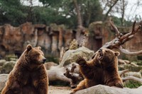 画像はイメージです（David Naval Photo／stock.adobe.com）