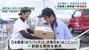 新鮮な果物を宅配便と新幹線で輸送　仙台市から函館市へ