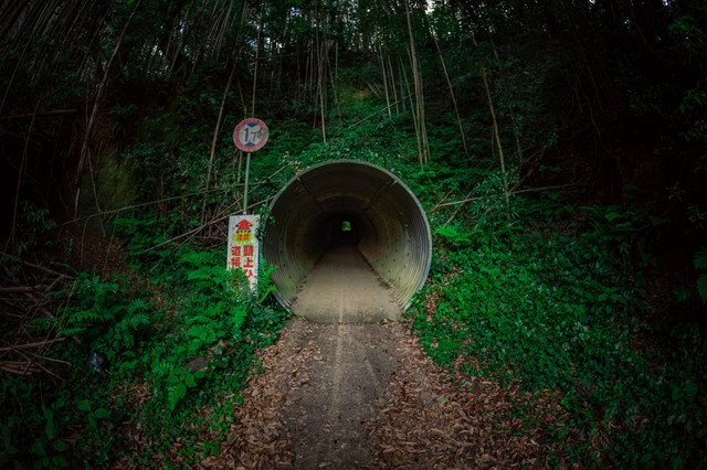 異世界感のある隧道の出口／一人旅研究会（@hitoritabiken）さん提供