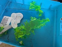 細かな裁断や折れが多数。これは一体…？？横のシナモンロールや猫ちゃんのイラストの紙、キーホルダー（？）など雑多な感じも小学生のお道具箱ならでは（に ちさんThreadsより）